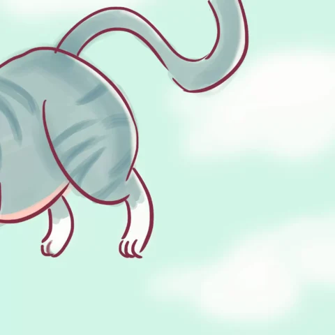 O salto do gato: uma história encantadora — p32