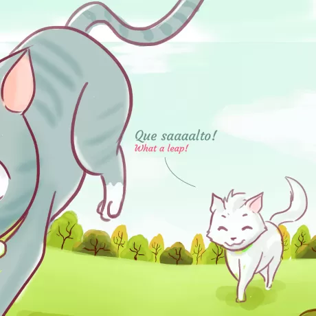 O salto do gato: uma história encantadora — p36