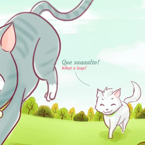 O salto do gato: uma história encantadora — p36