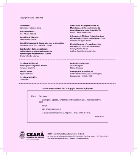 O sumiço do algodão e suas lições — p4