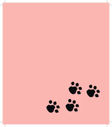 O sumiço do algodão e suas lições — p31