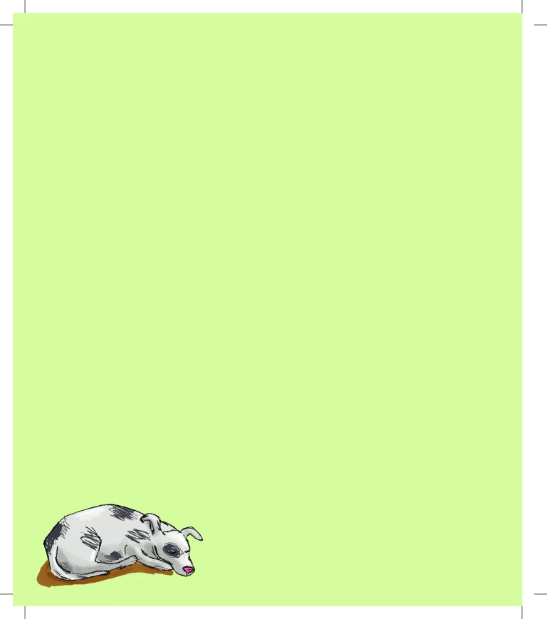 Iara, o cromossomo do amor: uma história tocante — p2 | Atividades Educação Infantil (ensinoja.com.br)