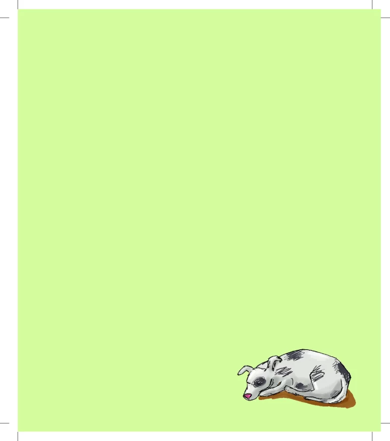 Iara, o cromossomo do amor: uma história tocante — p27 | Atividades Educação Infantil (ensinoja.com.br)