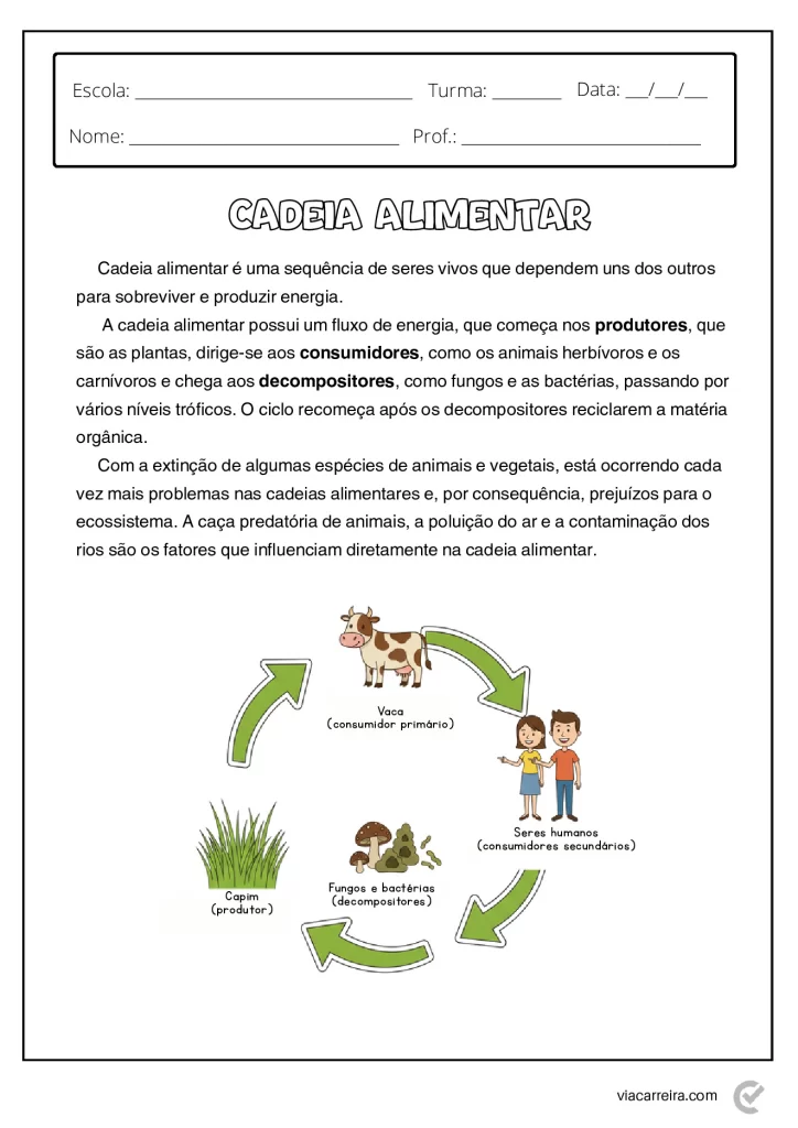 Atividades de Cadeia Alimentar 3° ano e 4º Ano em PDF — p1 | Atividades Educação Infantil (ensinoja.com.br)