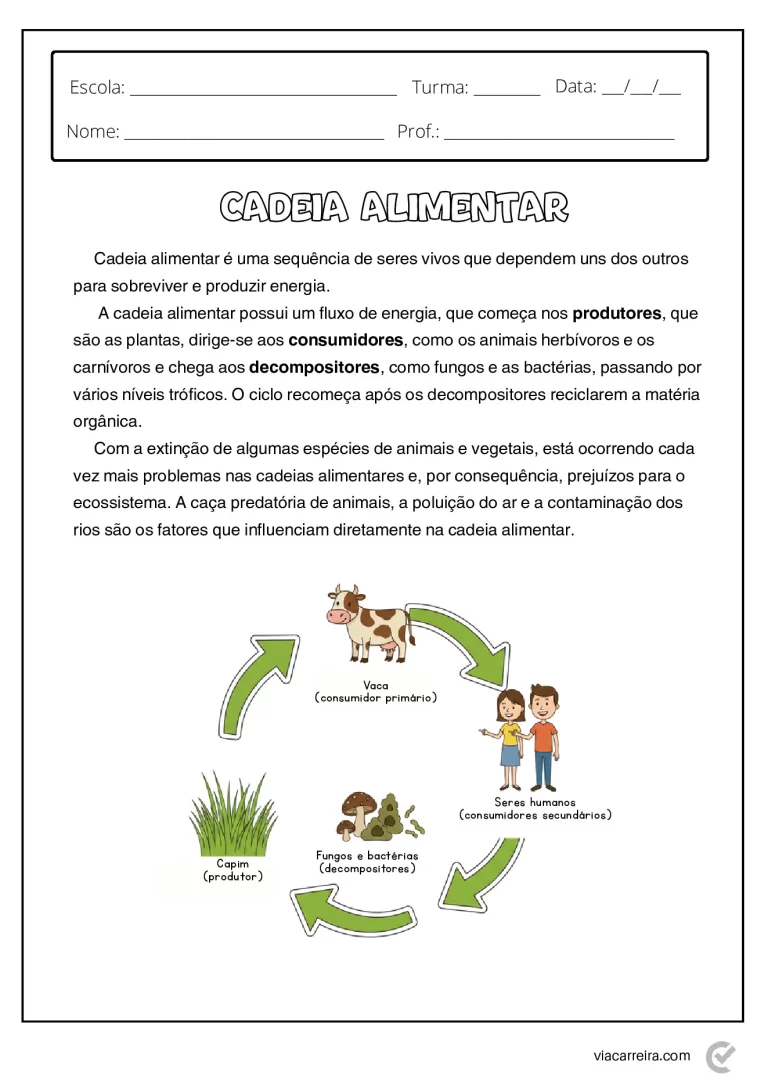 Atividades de Cadeia Alimentar 3° ano e 4º Ano em PDF