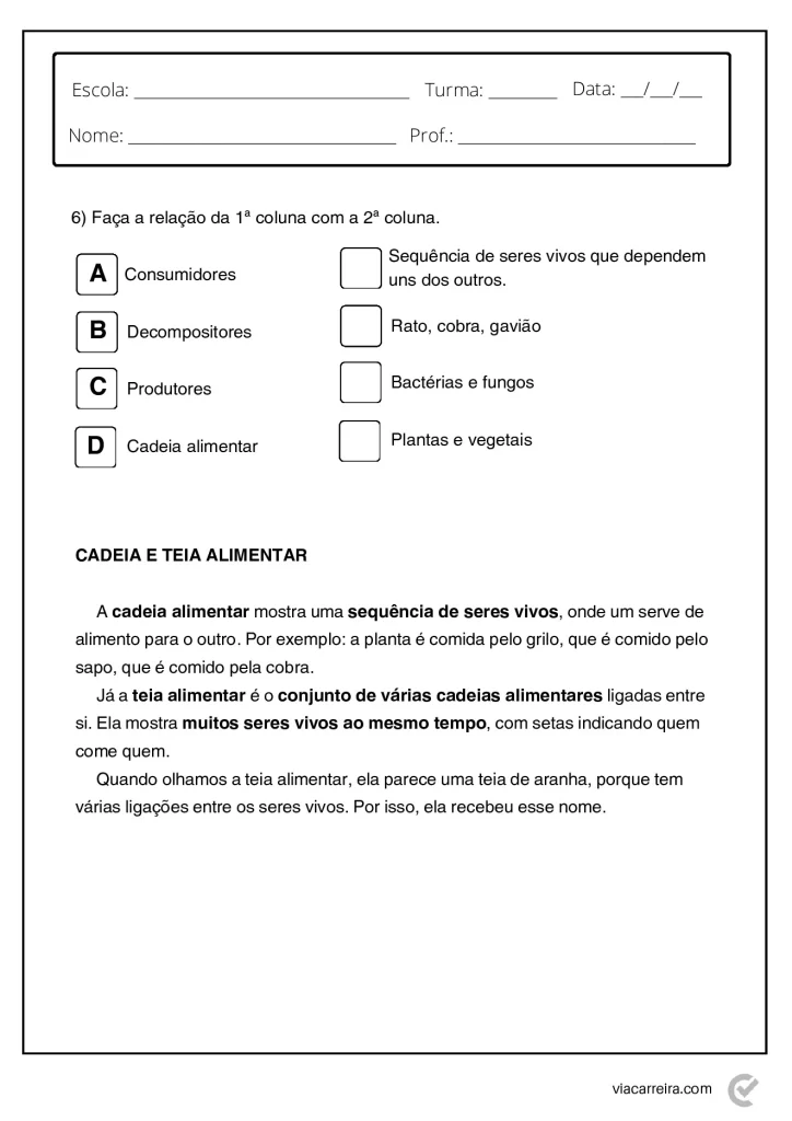 Atividades de Cadeia Alimentar 3° ano e 4º Ano em PDF — p3 | Atividades Educação Infantil (ensinoja.com.br)
