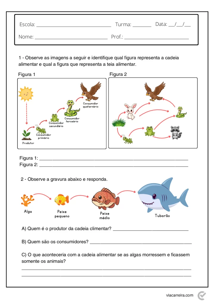 Atividades de Cadeia Alimentar 3° ano e 4º Ano em PDF — p4 | Atividades Educação Infantil (ensinoja.com.br)