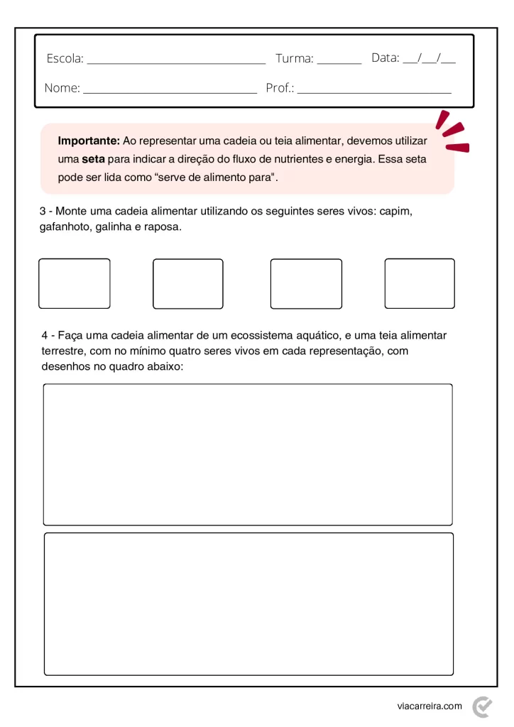 Atividades de Cadeia Alimentar 3° ano e 4º Ano em PDF — p5 | Atividades Educação Infantil (ensinoja.com.br)
