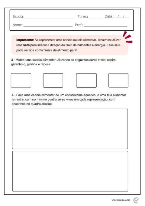 Atividades de Cadeia Alimentar 3° ano e 4º Ano em PDF — p5 | Atividades Educação Infantil (ensinoja.com.br)