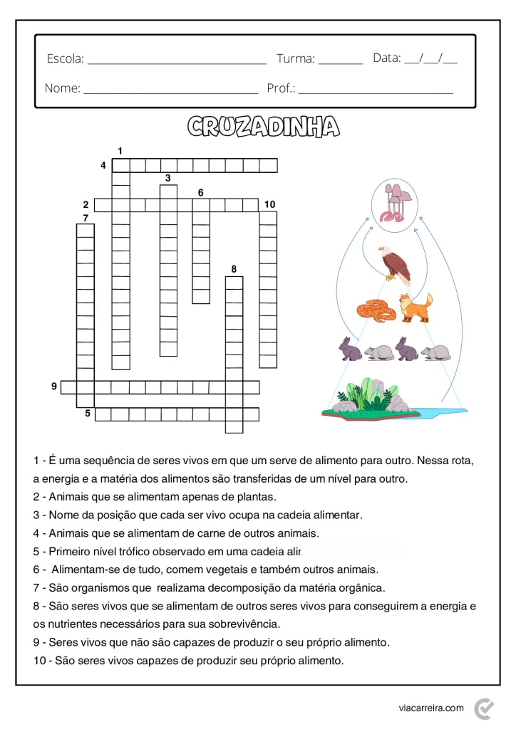 Atividades de Cadeia Alimentar 3° ano e 4º Ano em PDF — p6 | Atividades Educação Infantil (ensinoja.com.br)