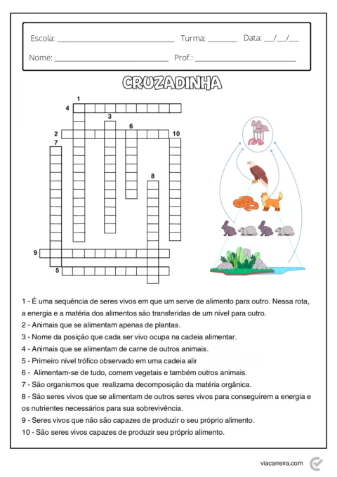 Atividades de Cadeia Alimentar 3° ano e 4º Ano em PDF — p6 | Atividades Educação Infantil (ensinoja.com.br)