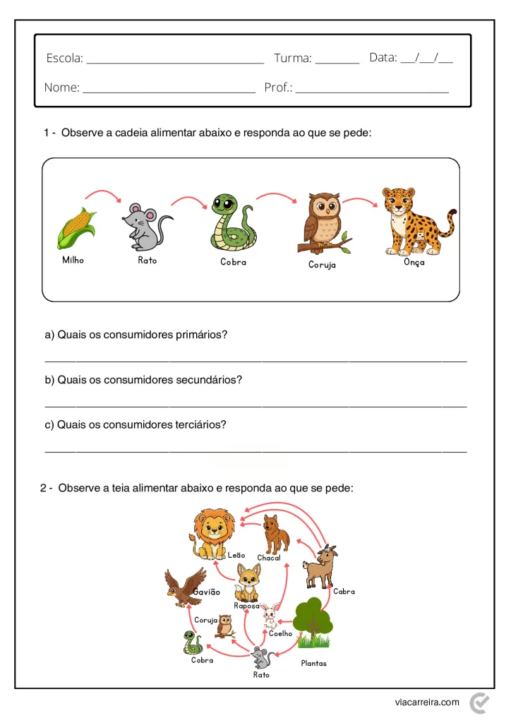 Atividades de Cadeia Alimentar 3° ano e 4º Ano em PDF — p7 | Atividades Educação Infantil (ensinoja.com.br)