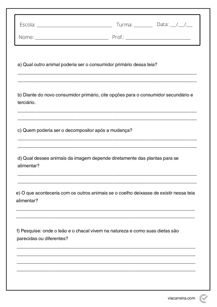 Atividades de Cadeia Alimentar 3° ano e 4º Ano em PDF — p8 | Atividades Educação Infantil (ensinoja.com.br)