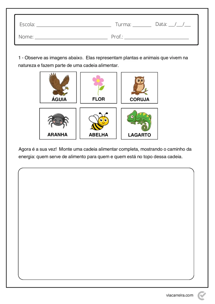 Atividades de Cadeia Alimentar 3° ano e 4º Ano em PDF — p10 | Atividades Educação Infantil (ensinoja.com.br)