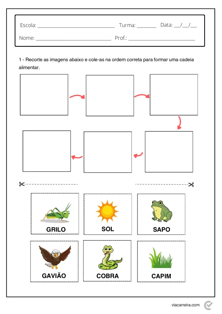 Atividades de Cadeia Alimentar 3° ano e 4º Ano em PDF — p11 | Atividades Educação Infantil (ensinoja.com.br)