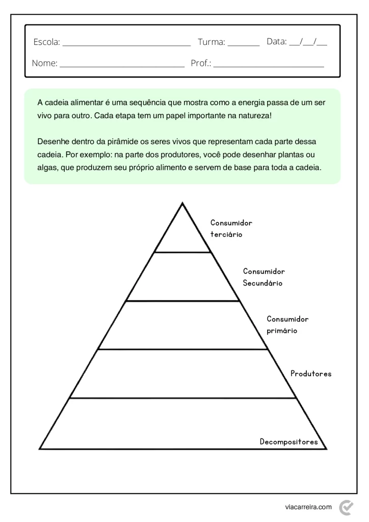 Atividades de Cadeia Alimentar 3° ano e 4º Ano em PDF — p13 | Atividades Educação Infantil (ensinoja.com.br)