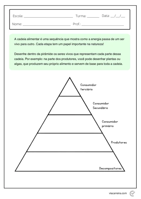 Atividades de Cadeia Alimentar 3° ano e 4º Ano em PDF — p13 | Atividades Educação Infantil (ensinoja.com.br)