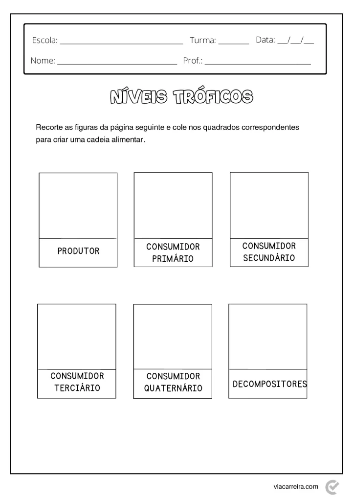 Atividades de Cadeia Alimentar 3° ano e 4º Ano em PDF — p14 | Atividades Educação Infantil (ensinoja.com.br)