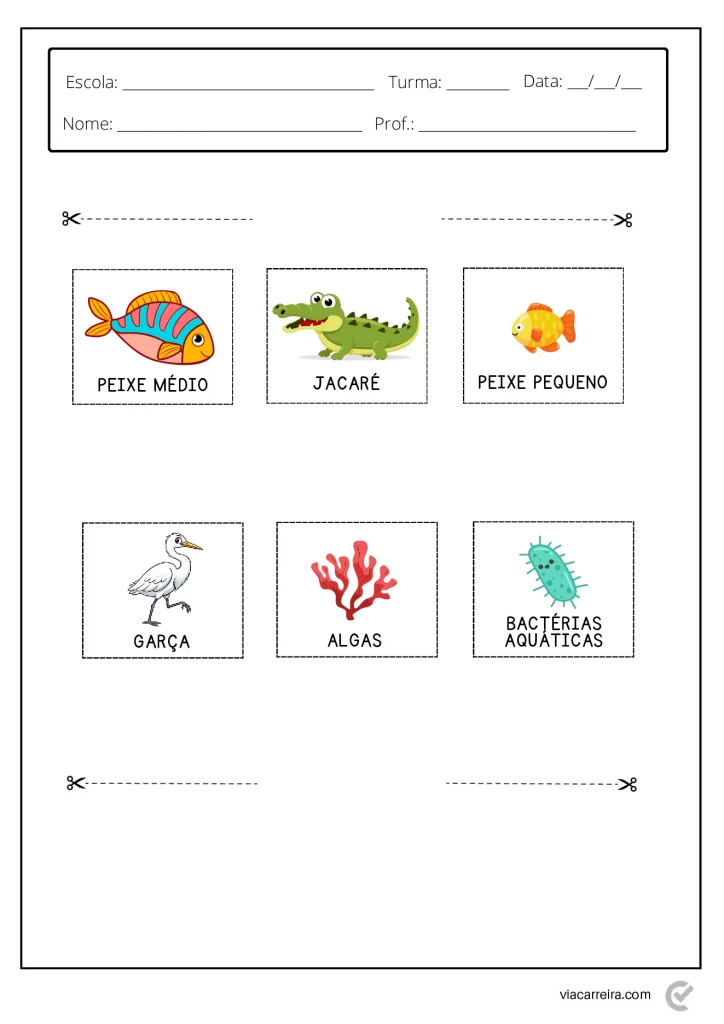 Atividades de Cadeia Alimentar 3° ano e 4º Ano em PDF — p15 | Atividades Educação Infantil (ensinoja.com.br)