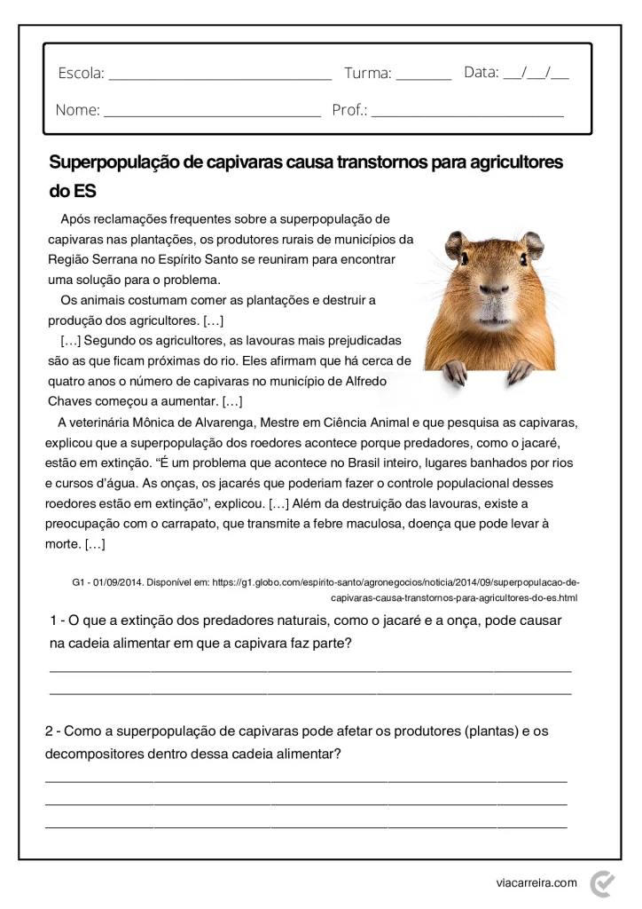 Atividades de Cadeia Alimentar 3° ano e 4º Ano em PDF — p16 | Atividades Educação Infantil (ensinoja.com.br)