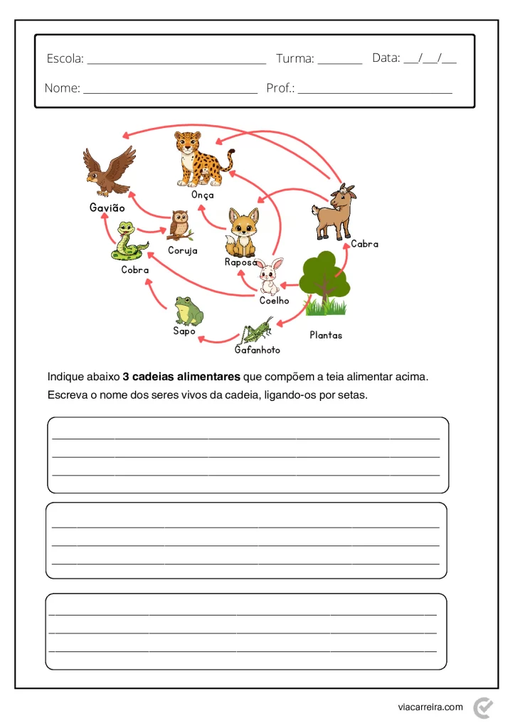 Atividades de Cadeia Alimentar 3° ano e 4º Ano em PDF — p17 | Atividades Educação Infantil (ensinoja.com.br)