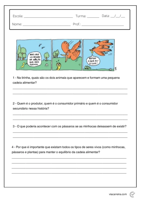 Atividades de Cadeia Alimentar 3° ano e 4º Ano em PDF — p18 | Atividades Educação Infantil (ensinoja.com.br)