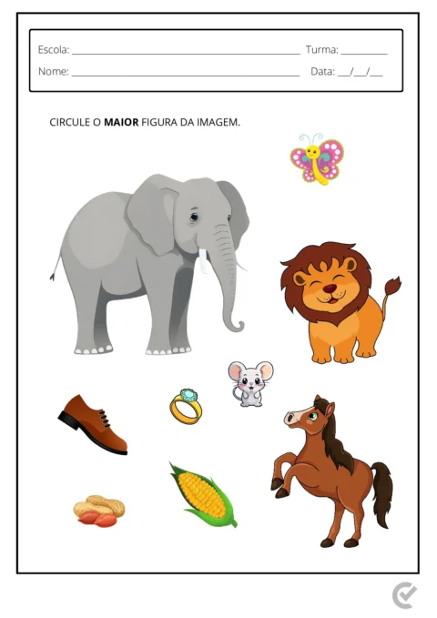 Atividades para Autistas Educação Infantil (37 páginas PDF) — p29 | Atividades Educação Infantil (ensinoja.com.br)