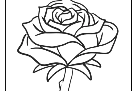 Pré-Escrita Maternal: Pontilhado e Pintura (PDF) — p1 | Atividades Educação Infantil (ensinoja.com.br)