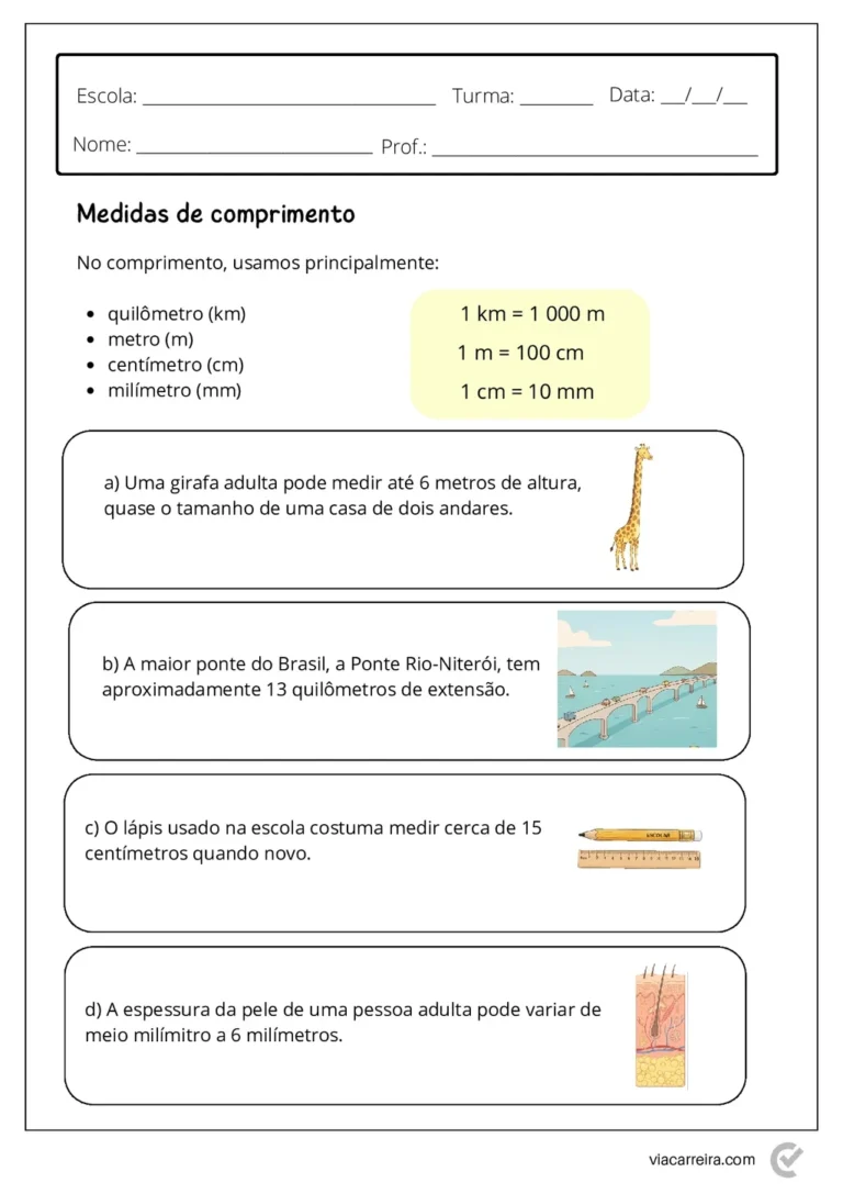Medidas de Comprimento para 4º e 5º Ano em PDF com 14 Páginas — p7 | Atividades Educação Infantil (ensinoja.com.br)
