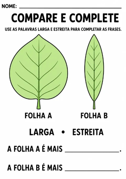 Atividade de comparação entre a folha A, larga, e a folha B, estreita, para completar frases.
