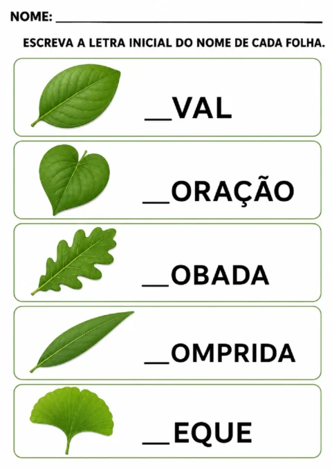 Atividade para escrever a letra inicial dos nomes dos tipos de folha: oval, coração, lobada, comprida e leque