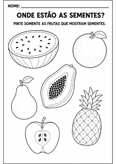 Atividades com sementes e frutas para imprimir