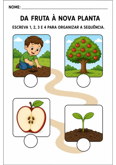Atividade para numerar a sequência do plantio até a árvore com frutos, usando quatro ilustrações.