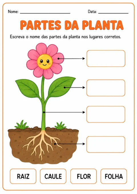 Atividade sobre partes da planta com flor, folhas, caule e raiz para nomear nos campos indicados.