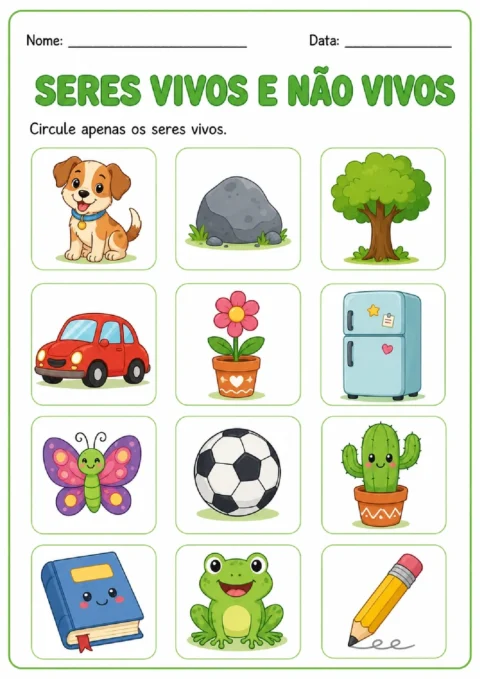Atividade para circular seres vivos entre animais, plantas e objetos do cotidiano.