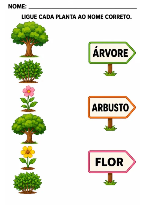 Atividades sobre árvores, arbustos e flores para imprimir