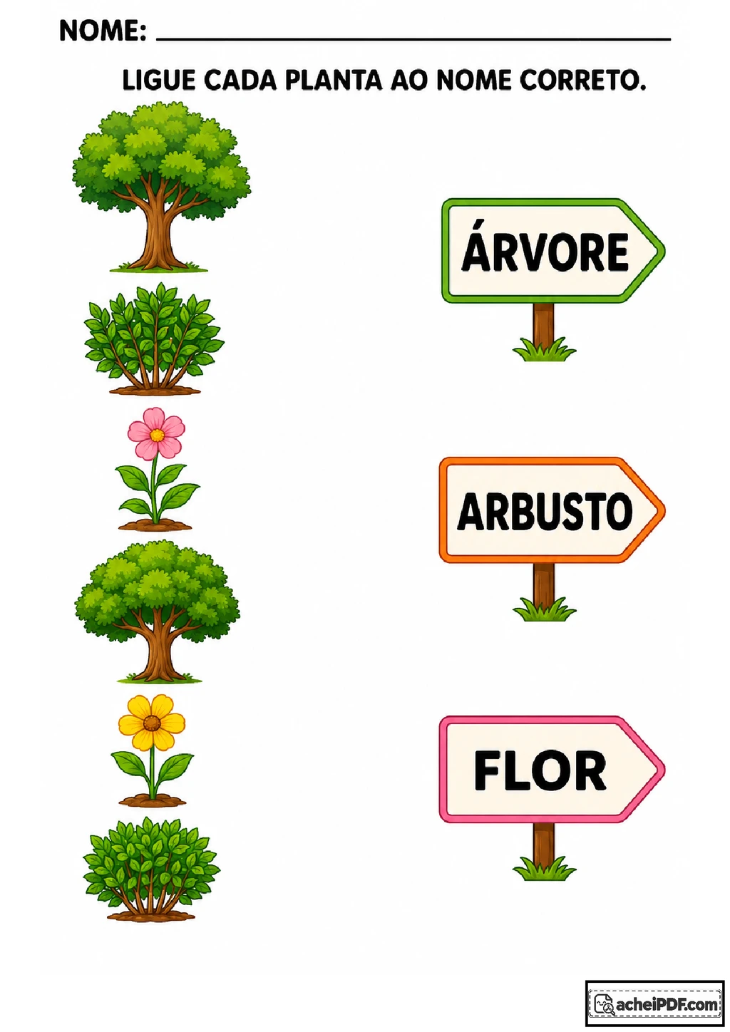 Atividades sobre árvores, arbustos e flores para imprimir
