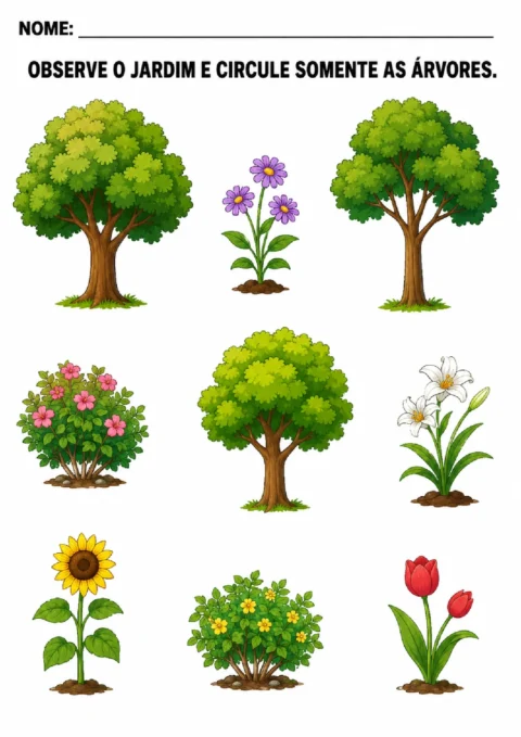 Atividade para observar plantas em um jardim e circular apenas as árvores