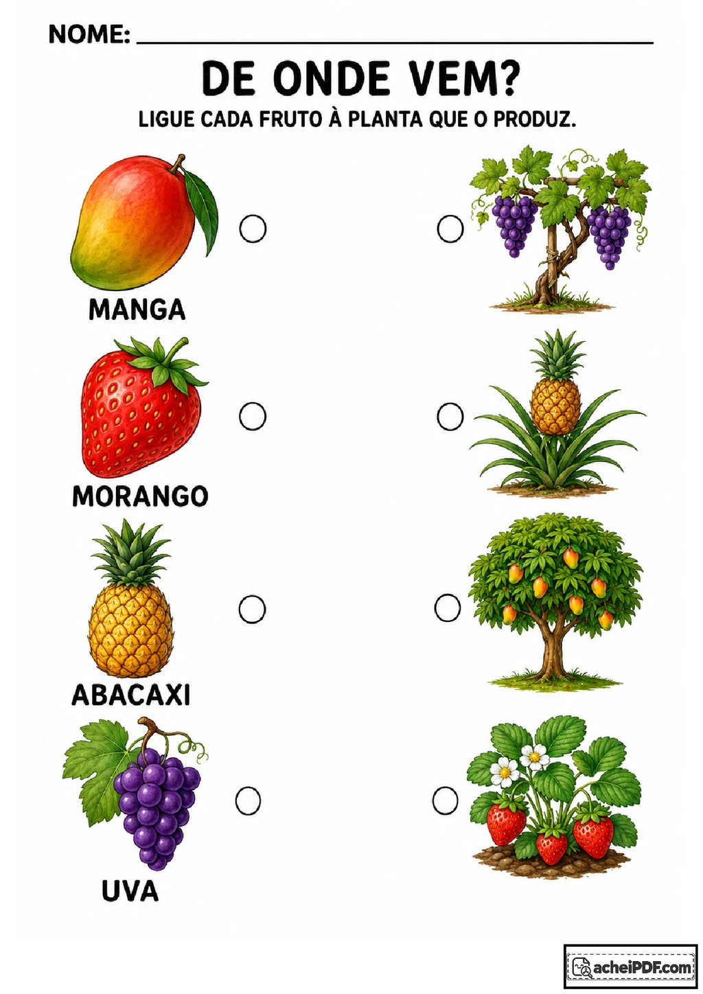 Atividades sobre frutas e plantas para imprimir