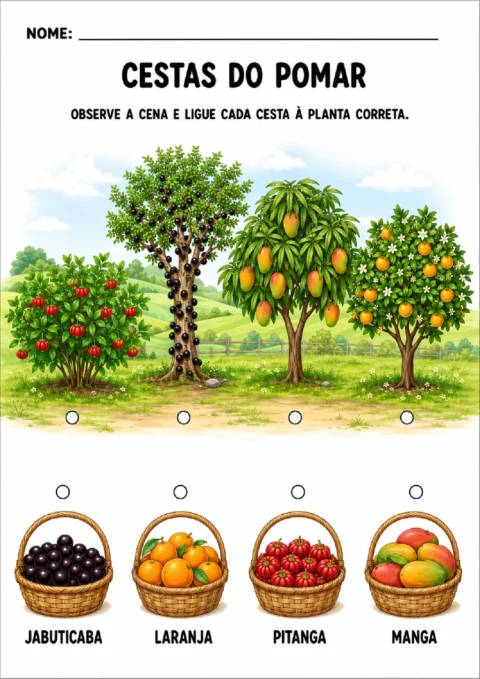 Atividade para ligar cestas de jabuticabas, laranjas, pitangas e mangas às árvores correspondentes.