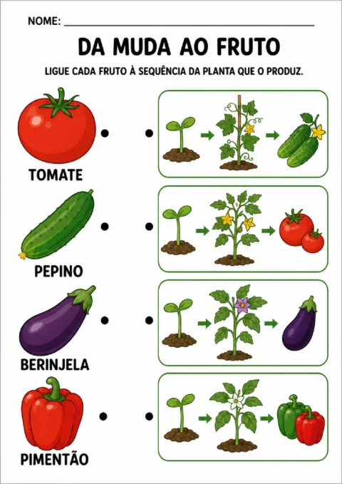 Atividade para ligar tomate, pepino, berinjela e pimentão à sequência de crescimento da planta.