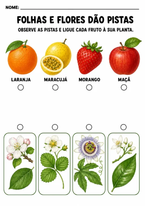 Atividade para ligar laranja, maracujá, morango e maçã às folhas e flores de suas plantas.