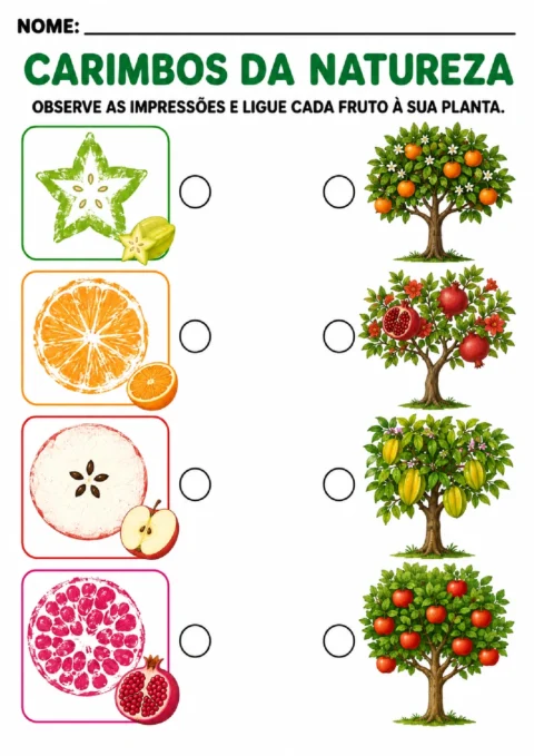 Atividade para ligar carimbos de frutas às árvores correspondentes: carambola, laranja, maçã e romã.