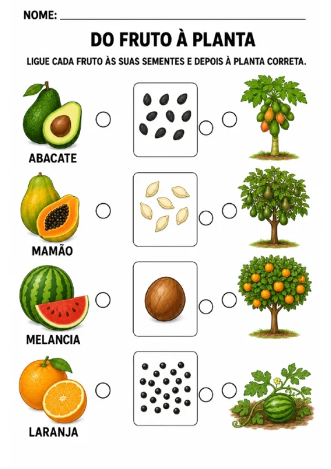 Atividade para ligar abacate, mamão, melancia e laranja às sementes e às plantas corretas.