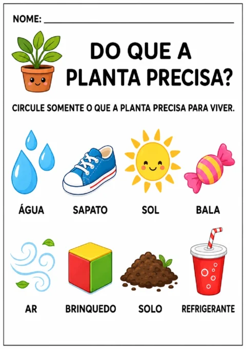 Atividade para circular água, sol, ar e solo entre os itens de que a planta precisa para viver
