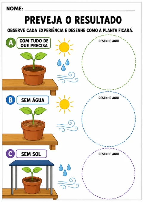 Atividade para prever e desenhar o resultado de plantas com água, sem água e sem sol