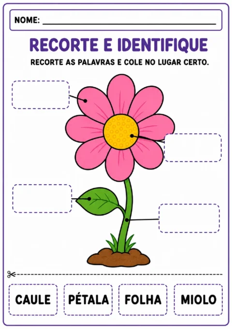 Atividades sobre partes da flor para imprimir