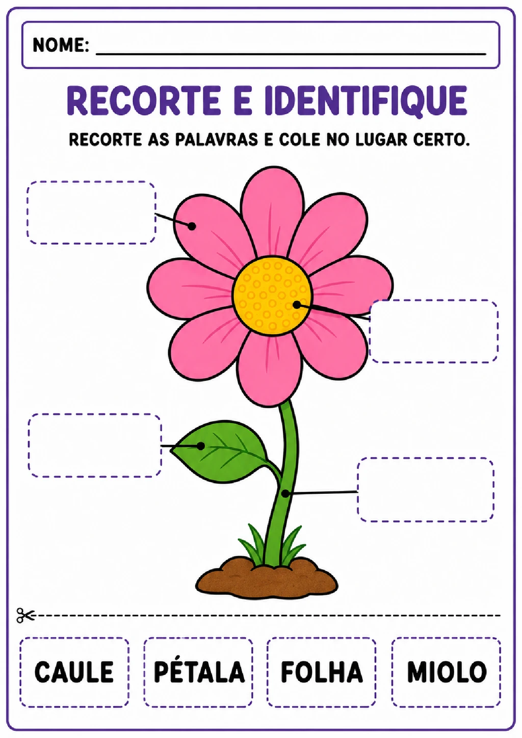 Atividades sobre partes da flor para imprimir