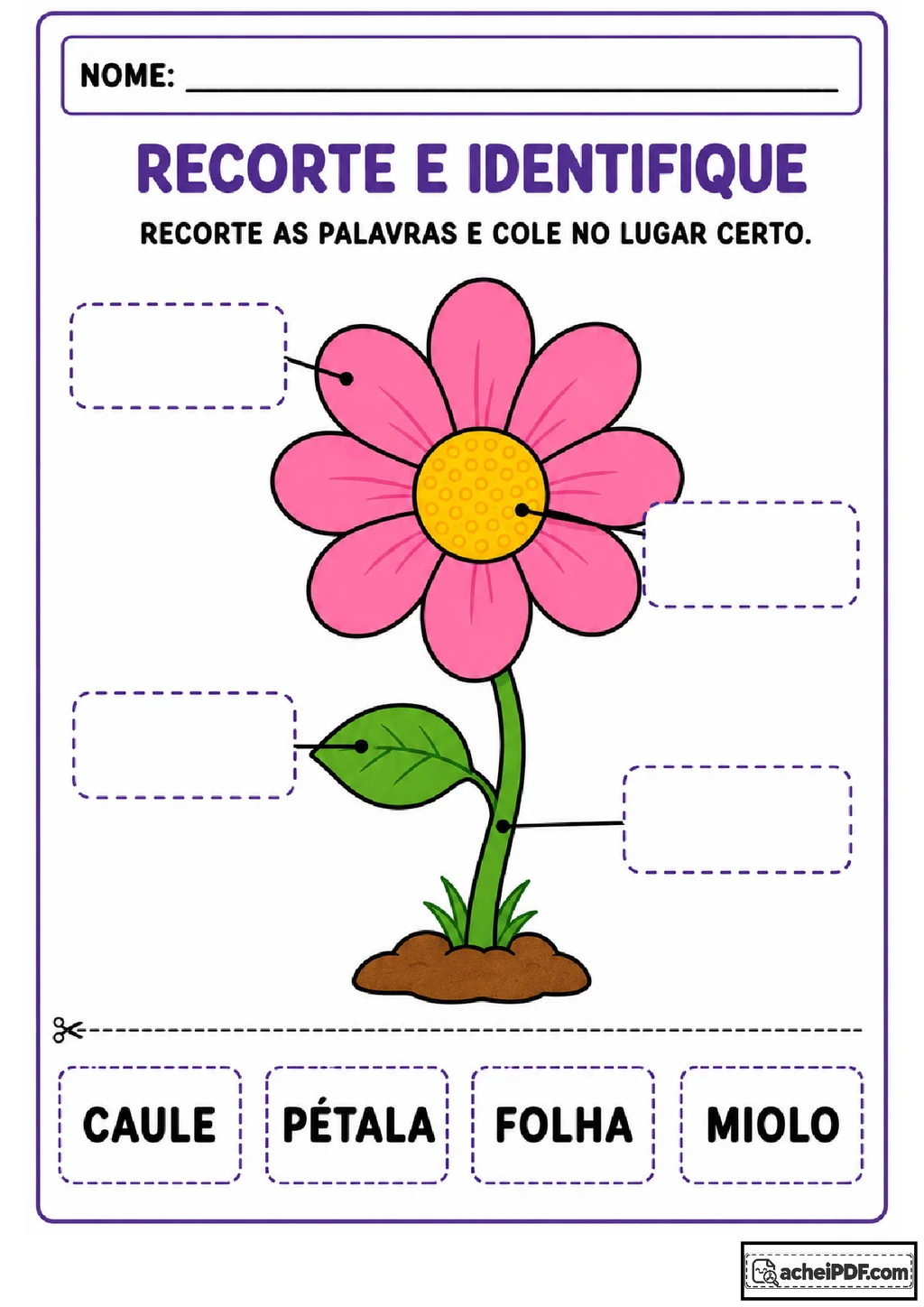 Atividades sobre partes da flor para imprimir