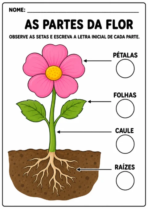 Atividade sobre as partes da flor para escrever a letra inicial de pétalas, folhas, caule e raízes.